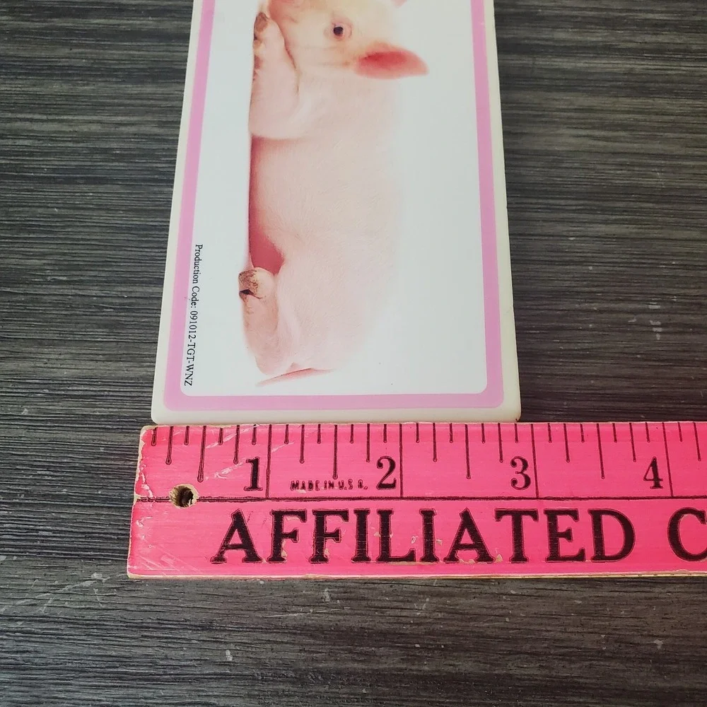 Jumbo Pig Picture Novelty Pencil Eraser Pop by dci 3